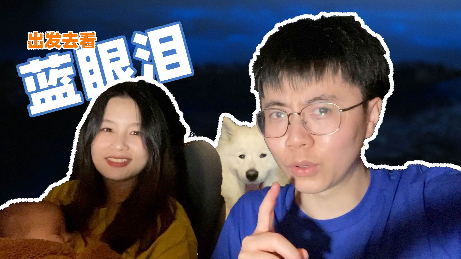 听说海边有蓝眼泪,萨摩耶软糖陪爸爸妈妈和弟弟去看,麻糬:脏话
